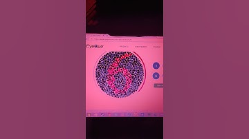 Thumbnail of Color blindness glasses (pilestone TP-032) used as a video filter