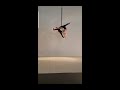 Aerial Hoop Duo