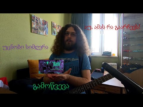 *გამოწვევა* უცნობი სიმღერის სოლოს გარჩევა (The Raven Autarchy - Noroi)