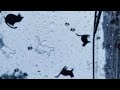 The Cure X One Last Time X 珊瑚海 