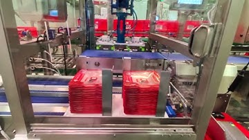 ELCAT Automated Tray Denester