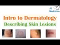 Introduction To Dermatology The Basics Describing Skin Lesions Primary Secondary Morphology