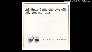 Silicone Soul - The All Nite Dub