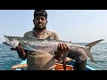 Catching King Fish &amp; Needle Fish in the Sea