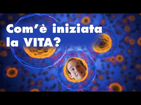 Video: Quale gene viene modificato nella papaia?