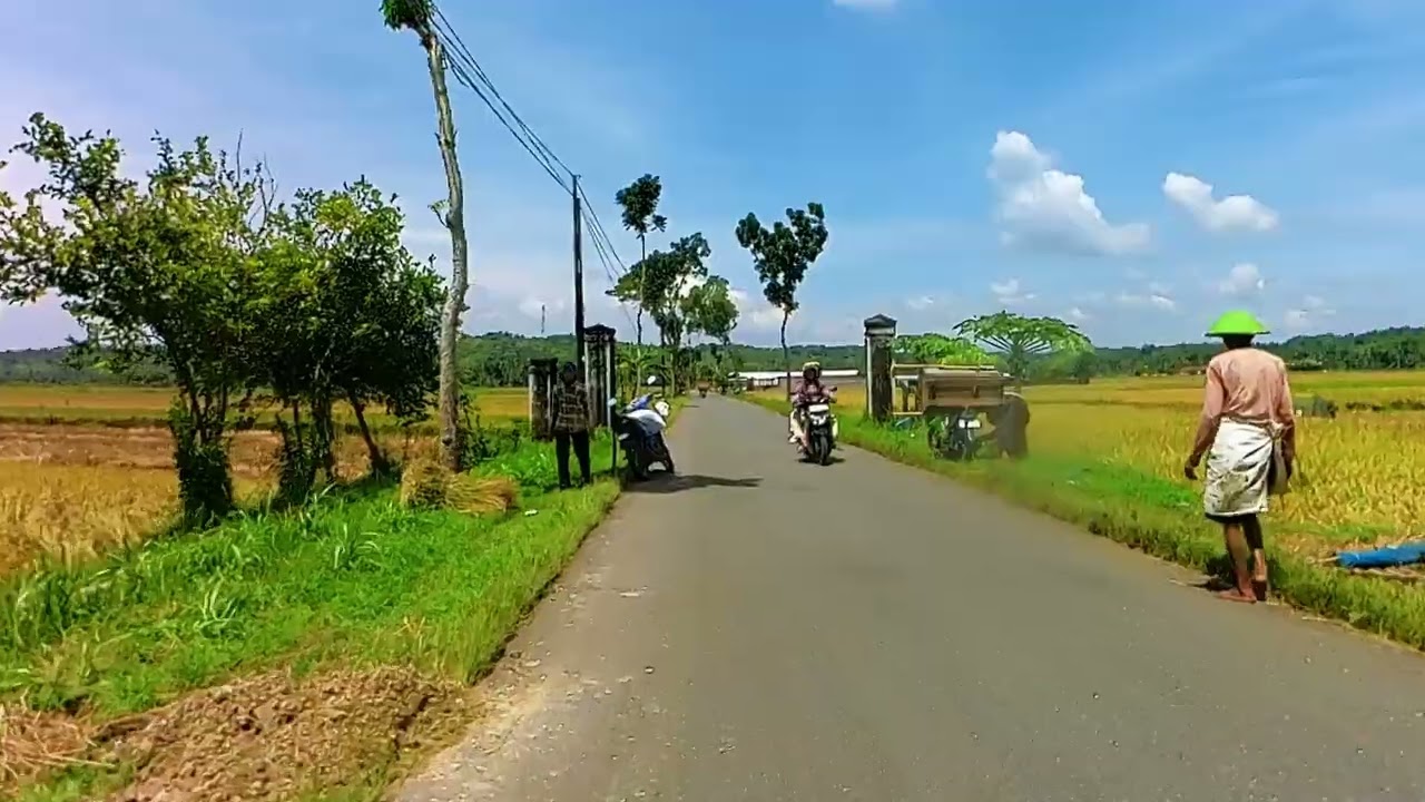 🌾 RAMADAN 1447 H MINGGU SIANG 🌤️ Bulak Sawah Pecarikan – Pesuningan – Kabuaran | Panen Dimulai! 🚜