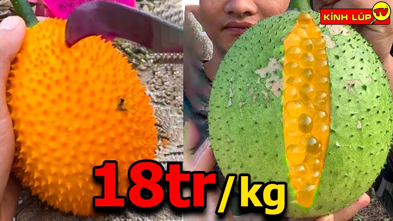 trai cay dep nhat the gioi 2022 New 🔥 8 Loại Quả Quý Hiếm và Đắt Nhất Thế Giới Mà Giới Siêu Giàu Tranh Nhau Săn Lùng | Kính Lúp TV