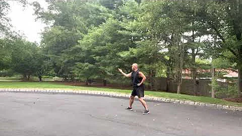 Hung Gar Taming The Tiger - Gung Ji Fook Fu Kuen ( 工字伏虎拳 )