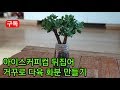 아이스커피컵을 뒤집어 거꾸로 심어 다육화분만들기 Making Succulent Plant Pots with Coffee Cups  コーヒーカップに多肉植物鉢植え作成