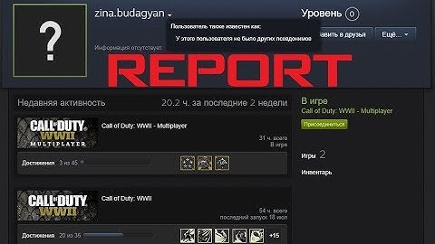 AIMBOT REPORT! Call Of Duty WWII