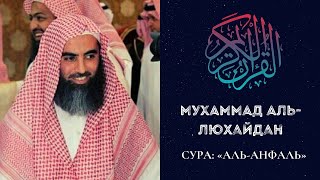 Сура: Аль-Анфаль | Трофеи | Мухаммад аль-Люхайдан