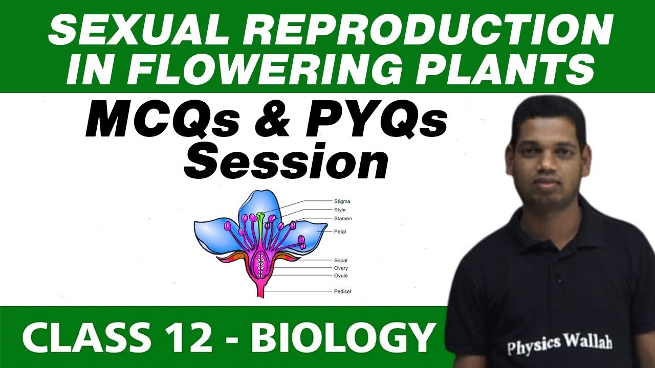 Sexual Reproduction in Flowering Plants : MCQs and PYQs Session | Class 12 NCERT