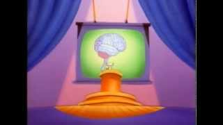 Pinky And The Brain - Brainstem Original Instrumental