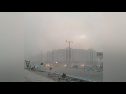 ТЕЗКОР ХОЗИР ЎЗБЕКИСТОНДА