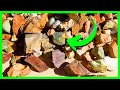 Rockhounding Adventures: Stunning Rocks for Tumbling Revealed