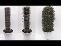 Amazing DIY Tower Garden Idea with Turtle Vine Using Recycled Plastic Bottles