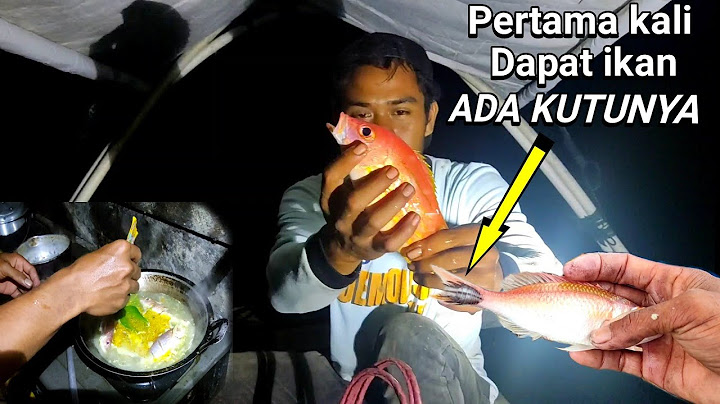 Keseruan Mancing Malam Hari# Ikan Langsung Di Masak😅🤤