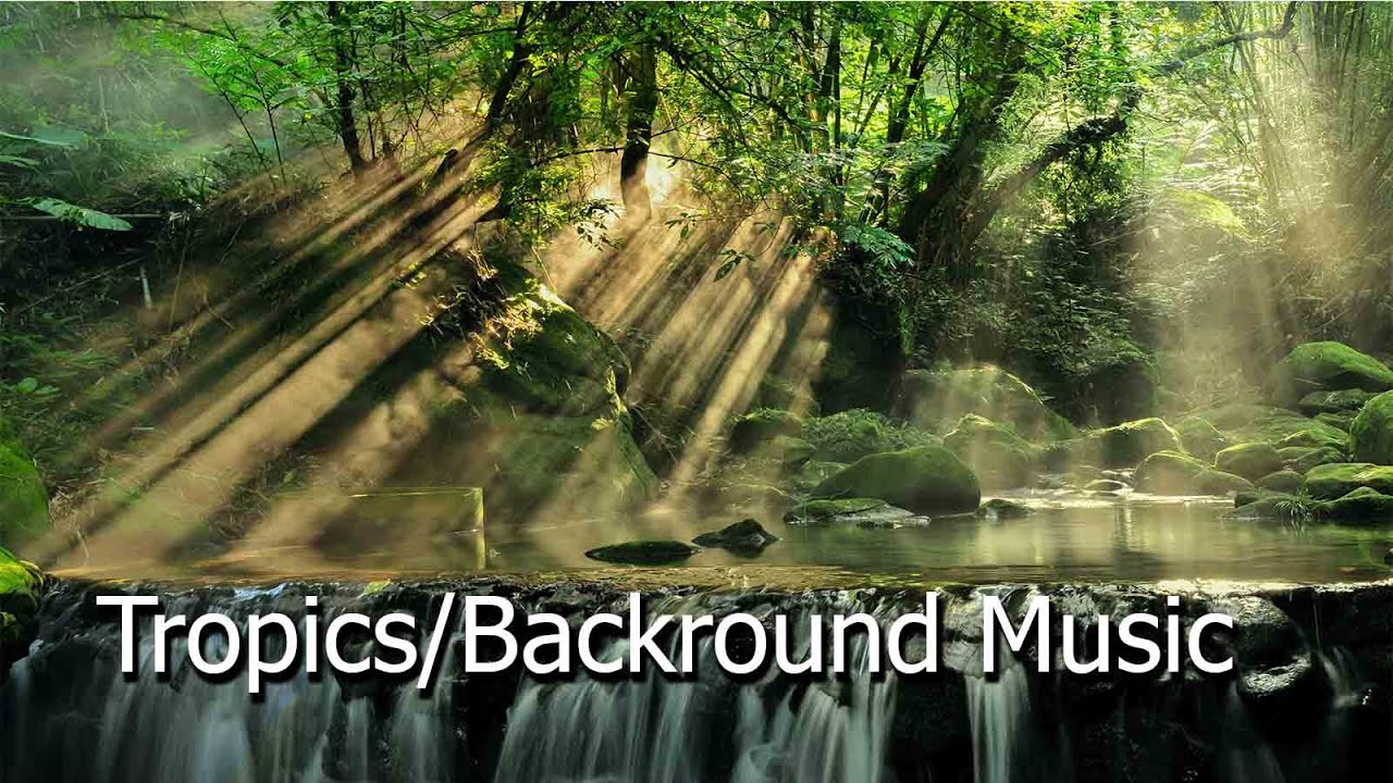 Tropics music/Music for Creathion