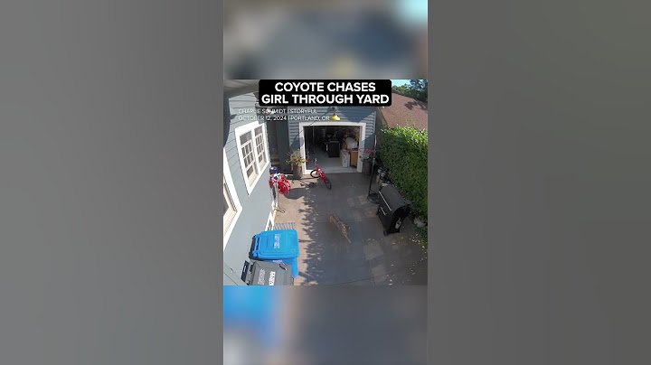 Coyote chases little girl through yard of Oregon home
