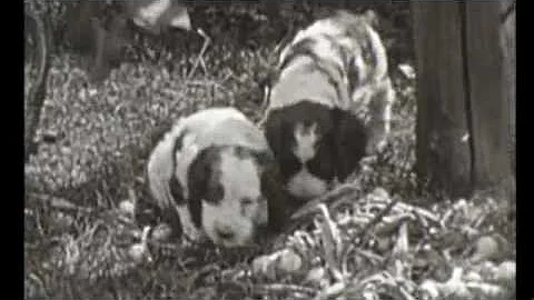 Patricia Barnhart and Nathalie Barnhart c.1940