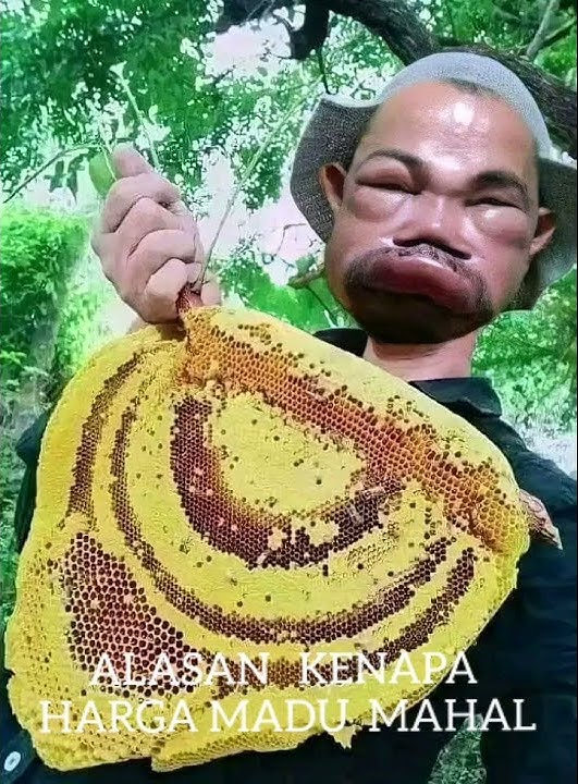 KASIAT MADU