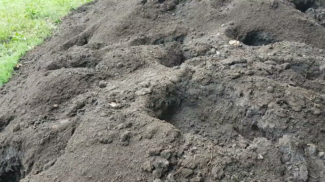 Terra Preta Products