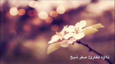 سورة البروج | صقر شيخ