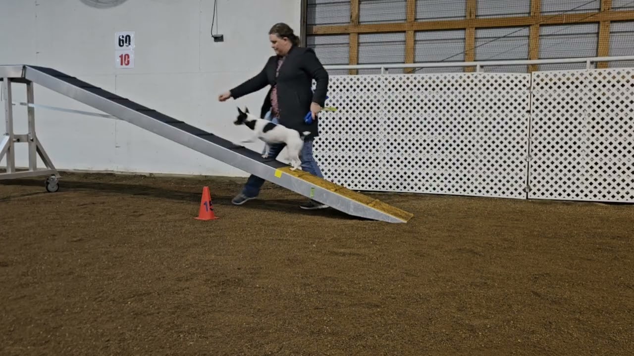 Before class training