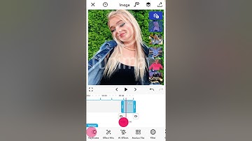 How To Make a Good Fan Edit on Funimate Without Pro!