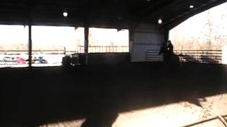 2013 01 19 Taylor Equestrian birangle