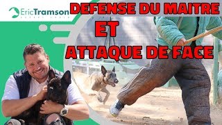 Dressage chien mordant pour la protection des personnes et des biens