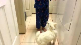 DOG DANCE BY KATLYN TRAN