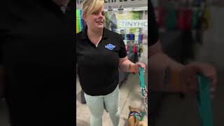 Best way to walk two dogs without tangles