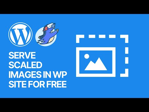 How to Add Serve Scaled Images in WordPress Website: Pictures In Correct Dimensions Easy & Free 🚀
