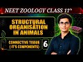 Structural Organisation In Animals Class 11 | NEET 2027 