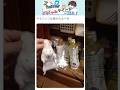 【🐱】可愛さMAX動物達のバズりツイート集！ vol. 1