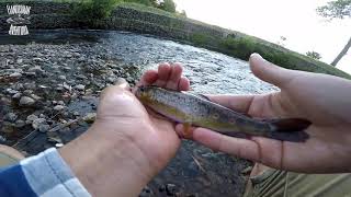 PESCANDO en LOS rios //RAHUE, PILMAIQUEN Y CURILEUFU //temp 2019-2020 //casting