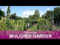 An amazing mulched garden in Sweden