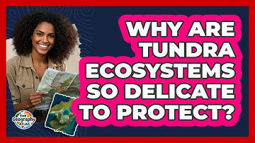Why Are Tundra Ecosystems So Delicate To Protect? - The Geography Atlas