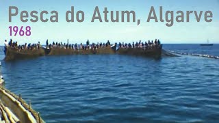 Pesca do Atum no Algarve | 1968