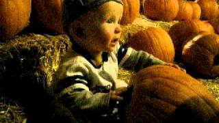 Pumpkin Patch 2011