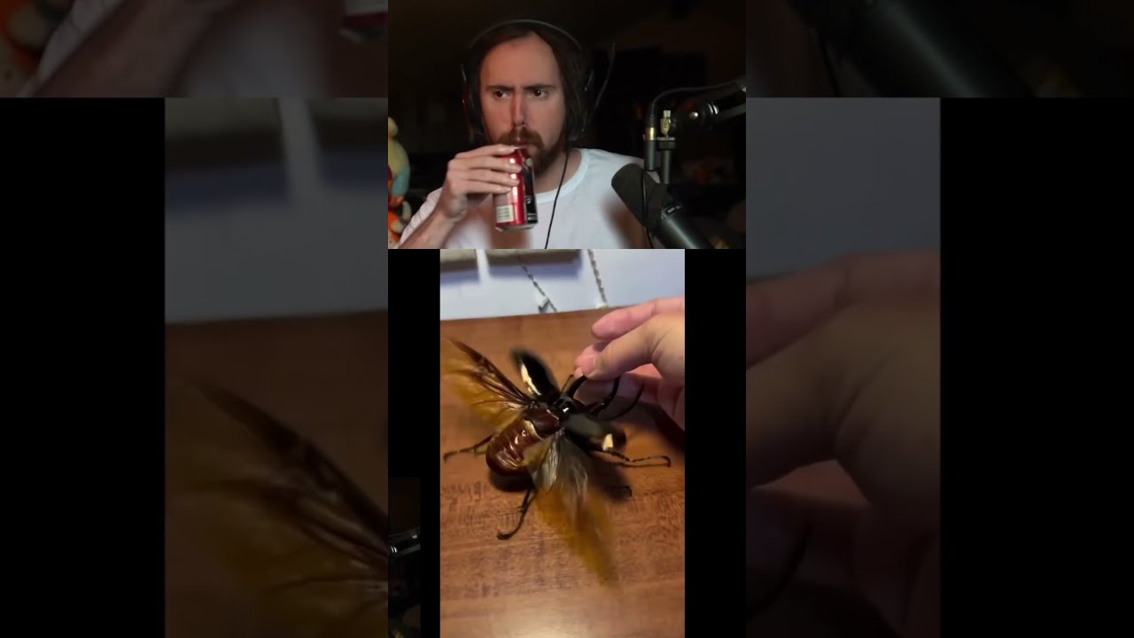  Men Can Communicate To Anything Except Women Asmongold