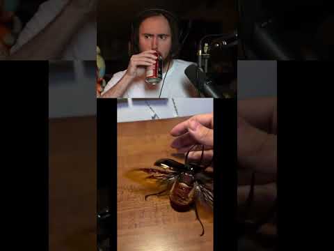 'men can communicate