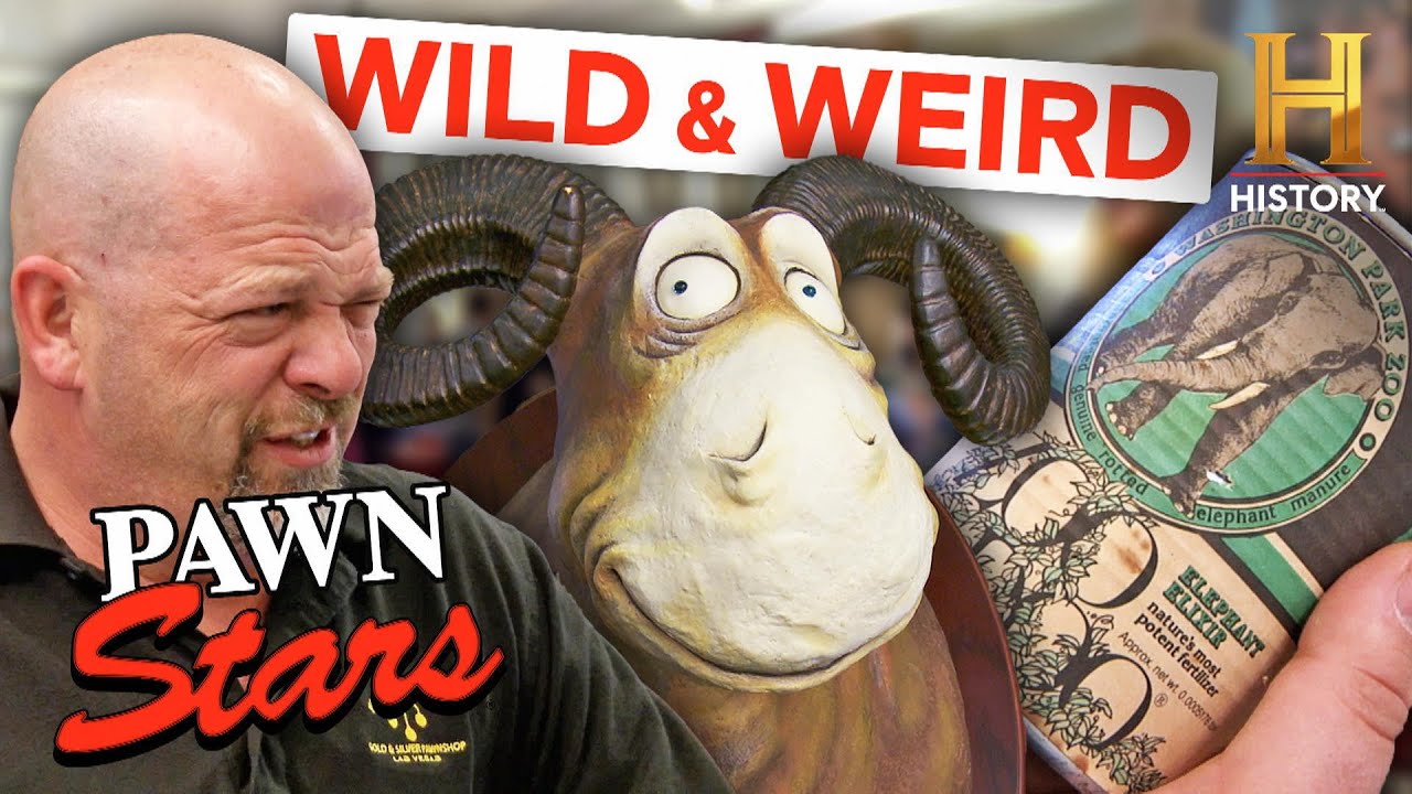 WILD Animal Items Value Will Shock You | Pawn Stars