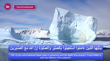 تلاوة نقية وهادئة بصوت ابو بكر الشبراوي|سورة البقرة|من 146-157