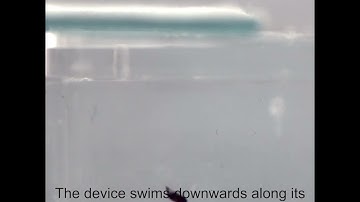 Liquid Crystal Elastomer Based Magnetic Composite Films for Reconfigurable Shape Morphing Soft Minia