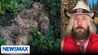 Snake the Bigfoot Hunter details 'groundbreaking' discovery, evidence | Saturday Agenda