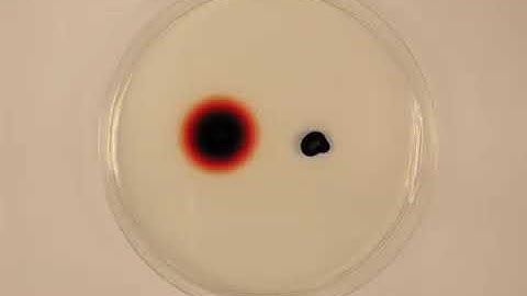Diffusion of Dye in Agar