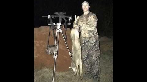 First Coyote with PULSAR Thermal Optics