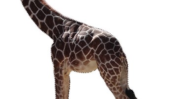 Photoshop   Puppet Warp and Cast Shadow on a giraffe   part 12   Learning Adobe Photoshop by example
